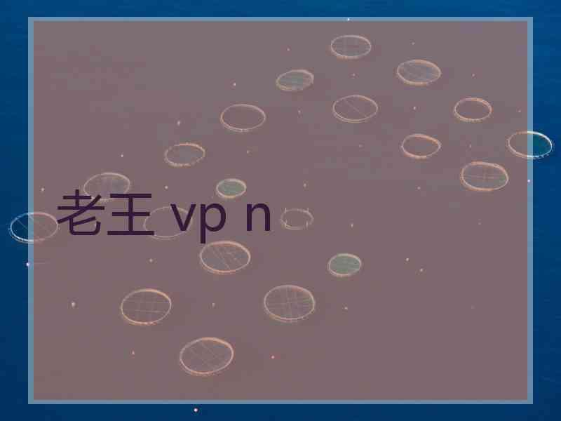 老王 vp n