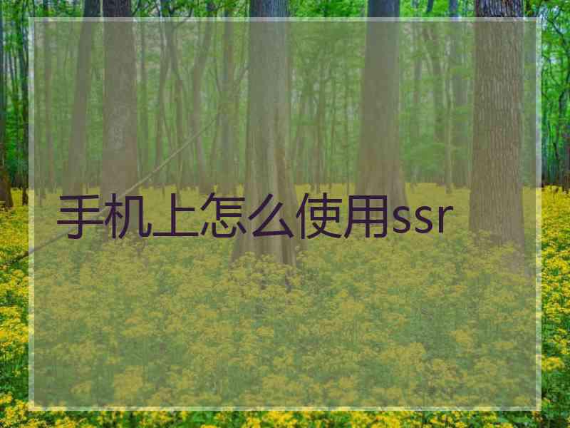 手机上怎么使用ssr