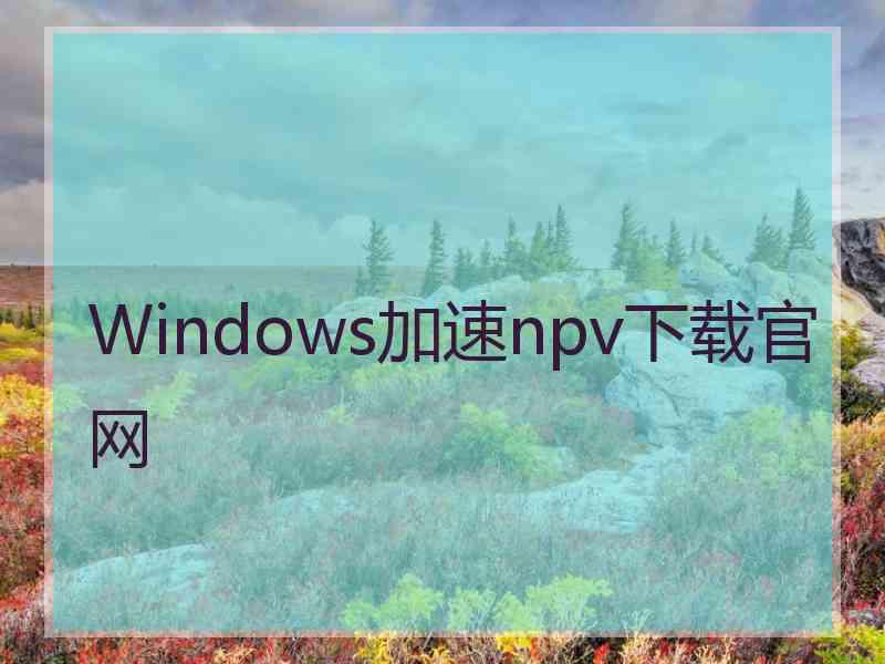 Windows加速npv下载官网