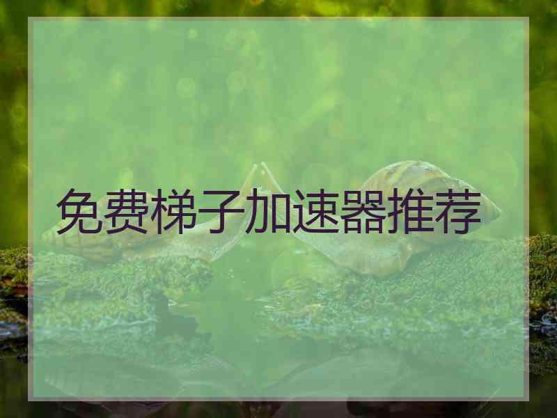 免费梯子加速器推荐