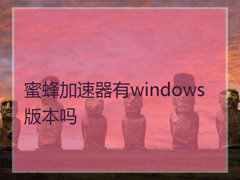 蜜蜂加速器有windows版本吗