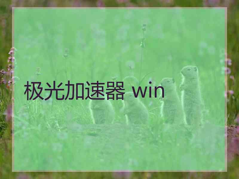 极光加速器 win