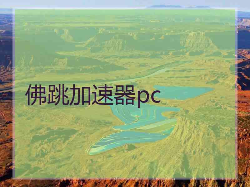 佛跳加速器pc