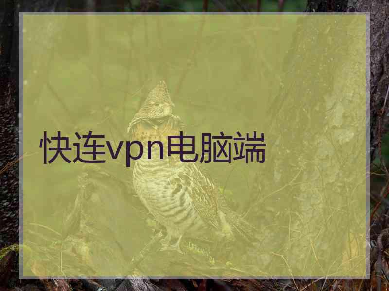 快连vpn电脑端