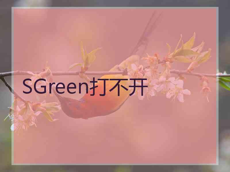 SGreen打不开