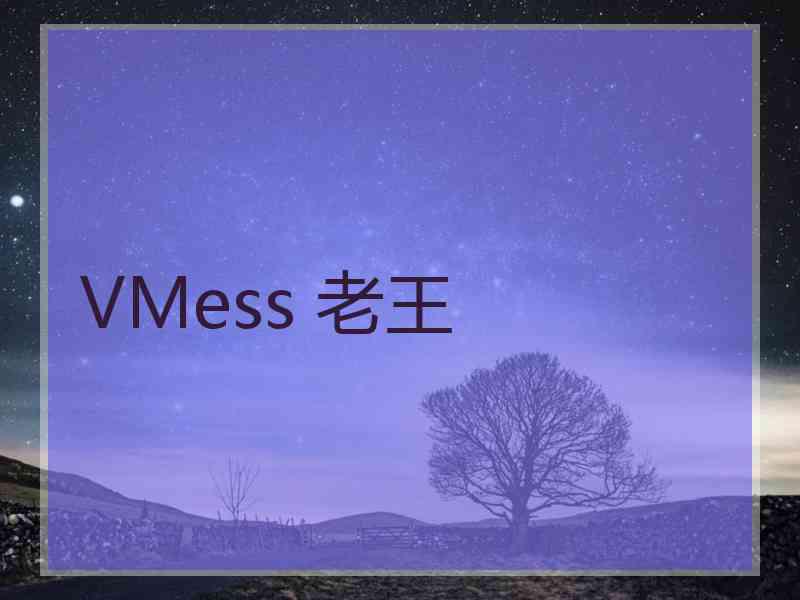 VMess 老王