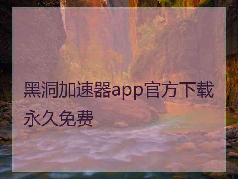 黑洞加速器app官方下载永久免费