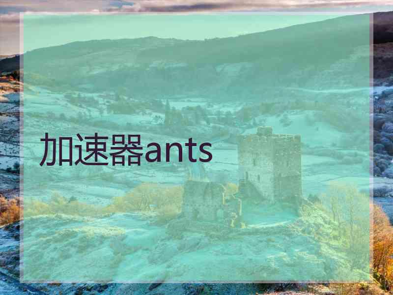 加速器ants