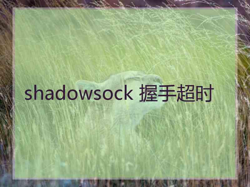 shadowsock 握手超时