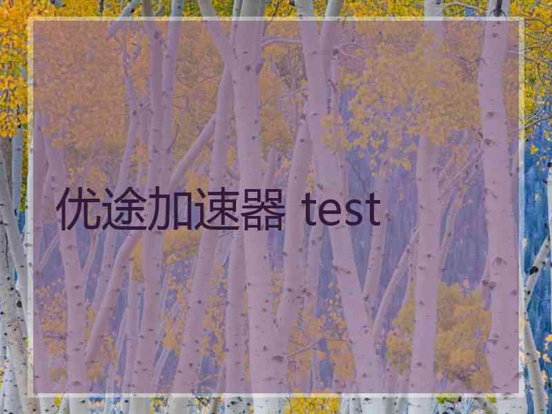 优途加速器 test