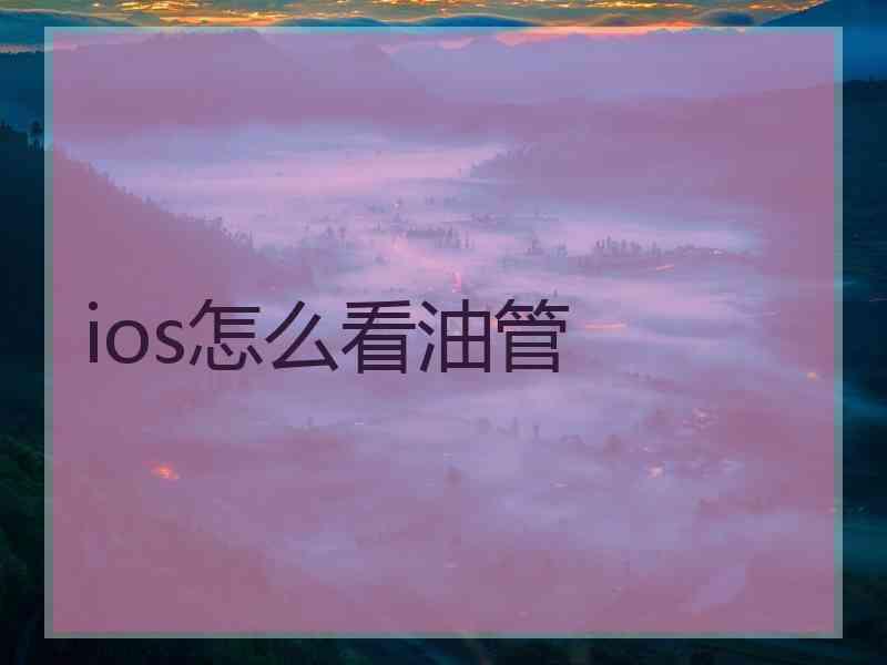 ios怎么看油管