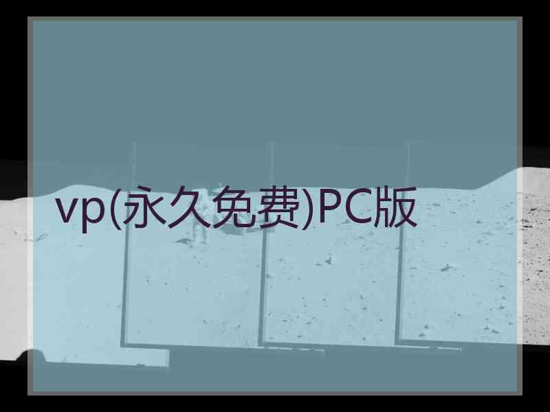 vp(永久免费)PC版