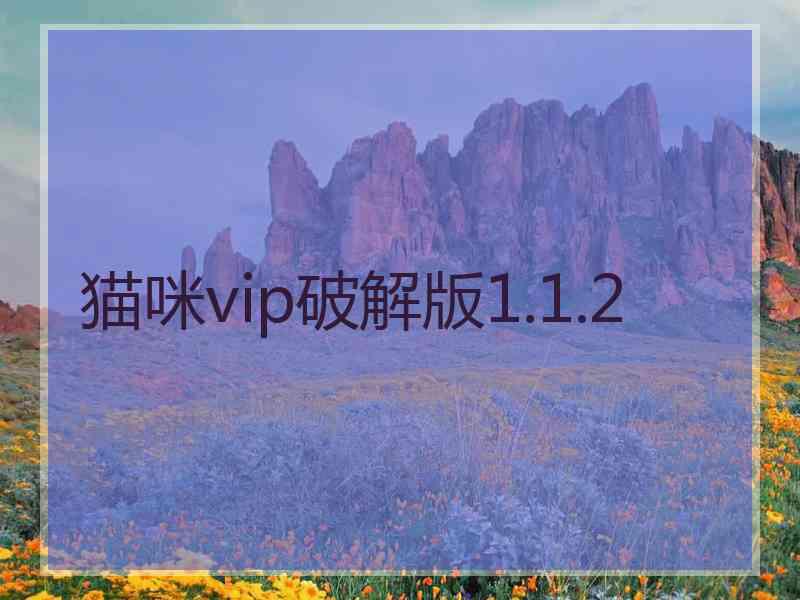 猫咪vip破解版1.1.2