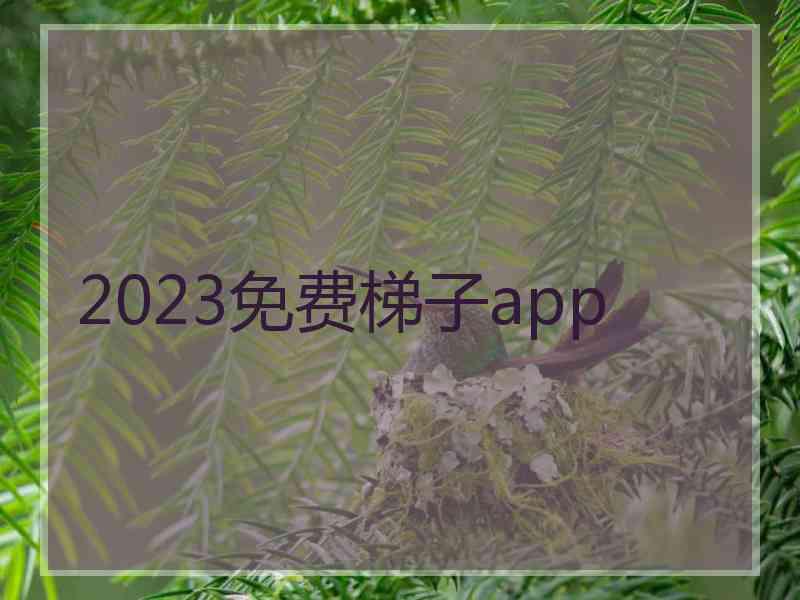 2023免费梯子app