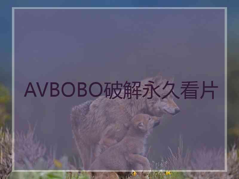 AVBOBO破解永久看片