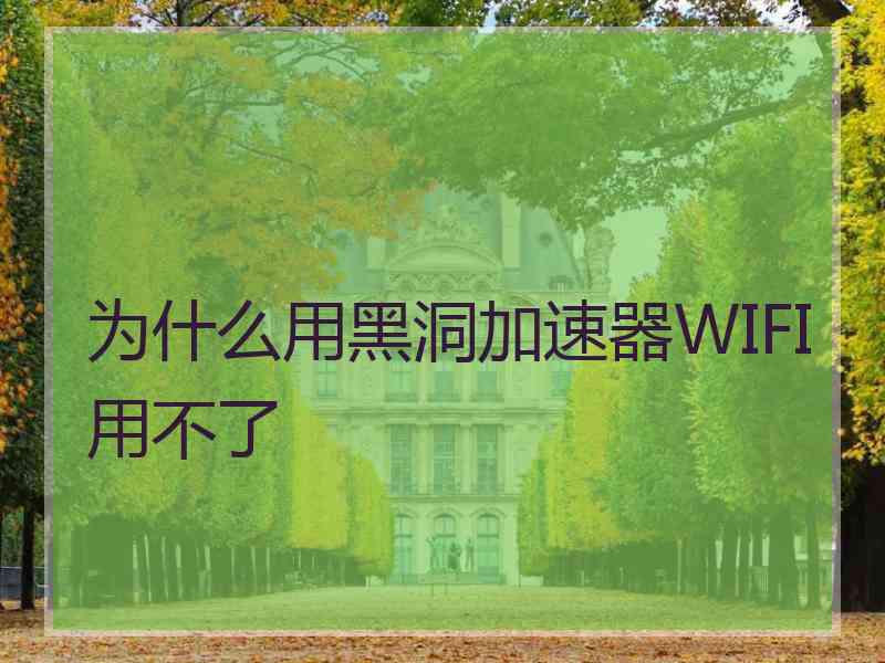 为什么用黑洞加速器WIFI用不了