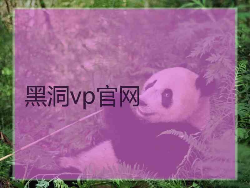 黑洞vp官网