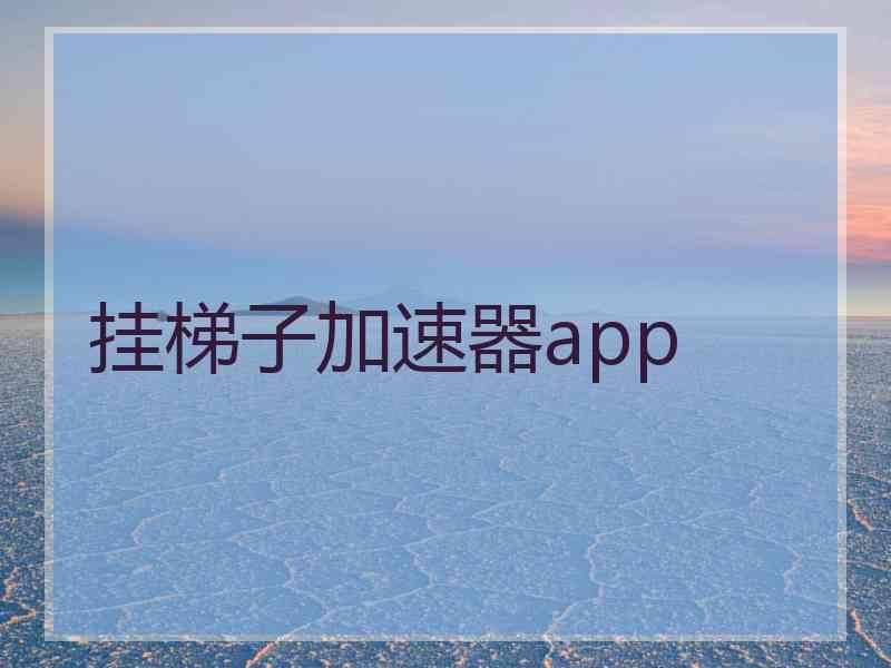 挂梯子加速器app