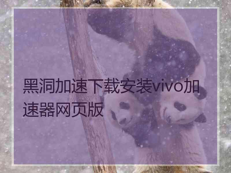 黑洞加速下载安装vivo加速器网页版