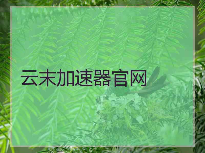 云末加速器官网