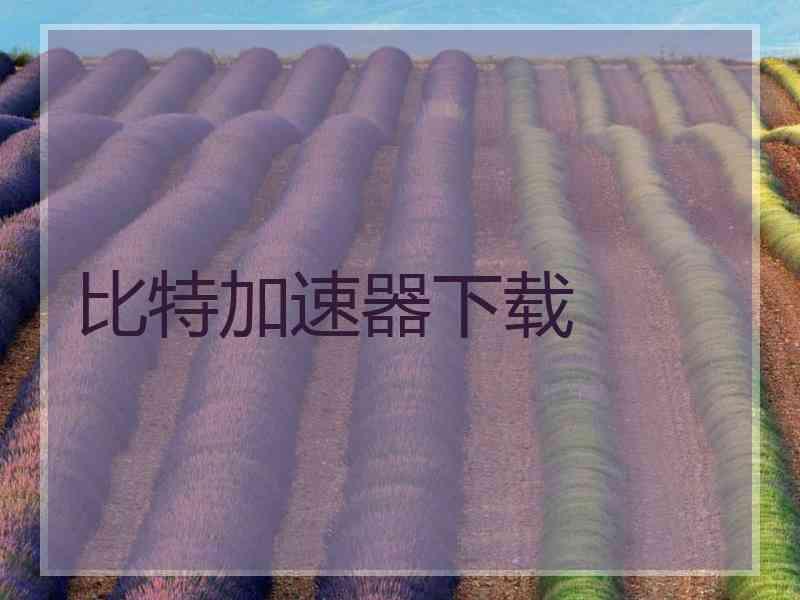 比特加速器下载