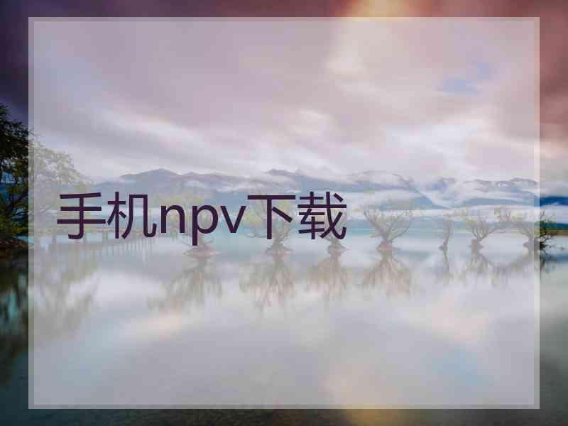 手机npv下载