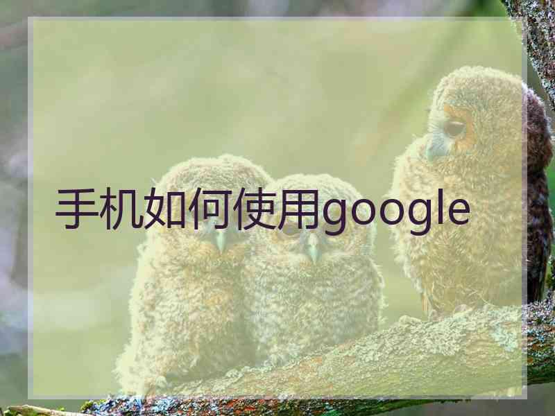 手机如何使用google