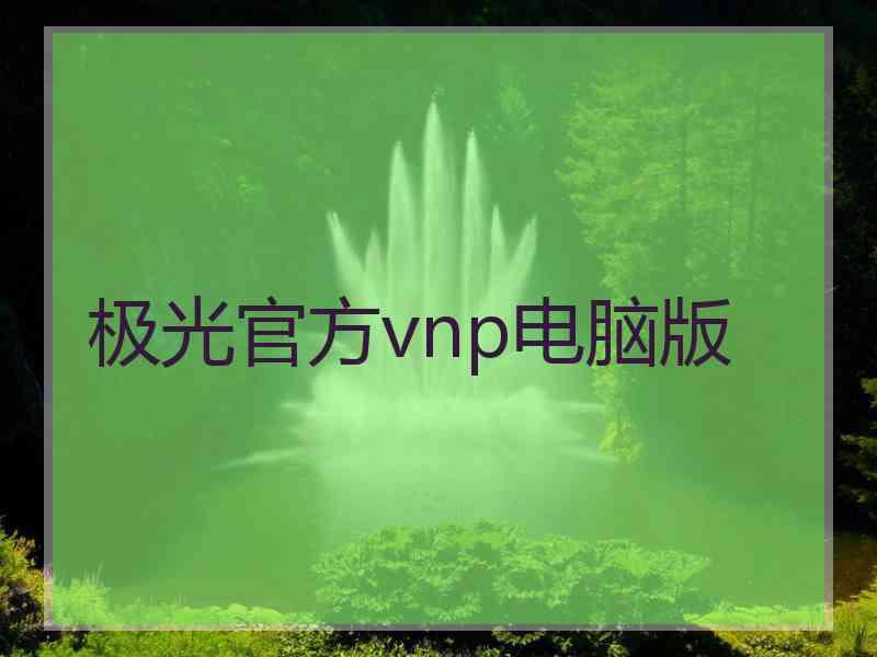 极光官方vnp电脑版