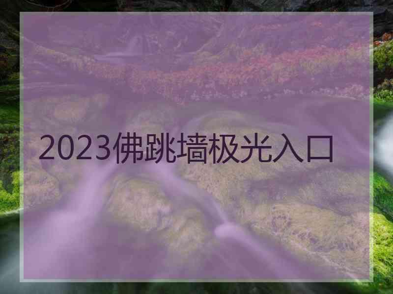 2023佛跳墙极光入口