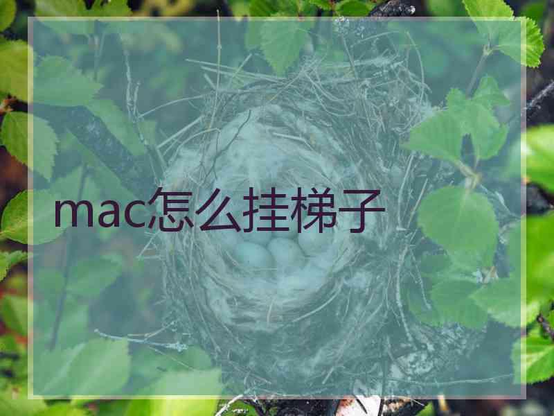 mac怎么挂梯子