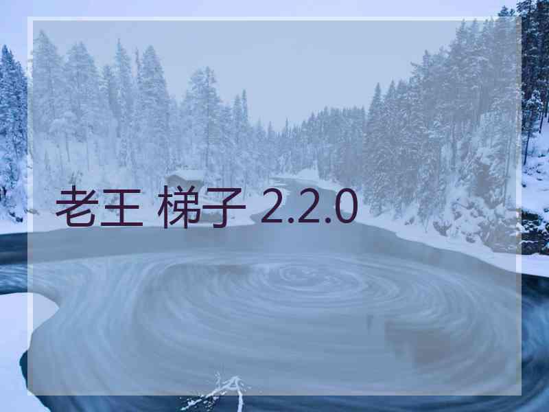 老王 梯子 2.2.0