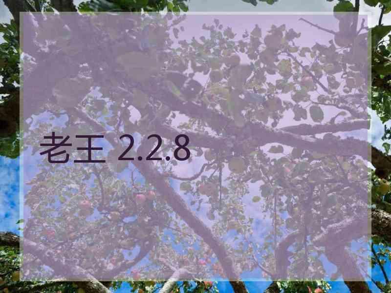 老王 2.2.8