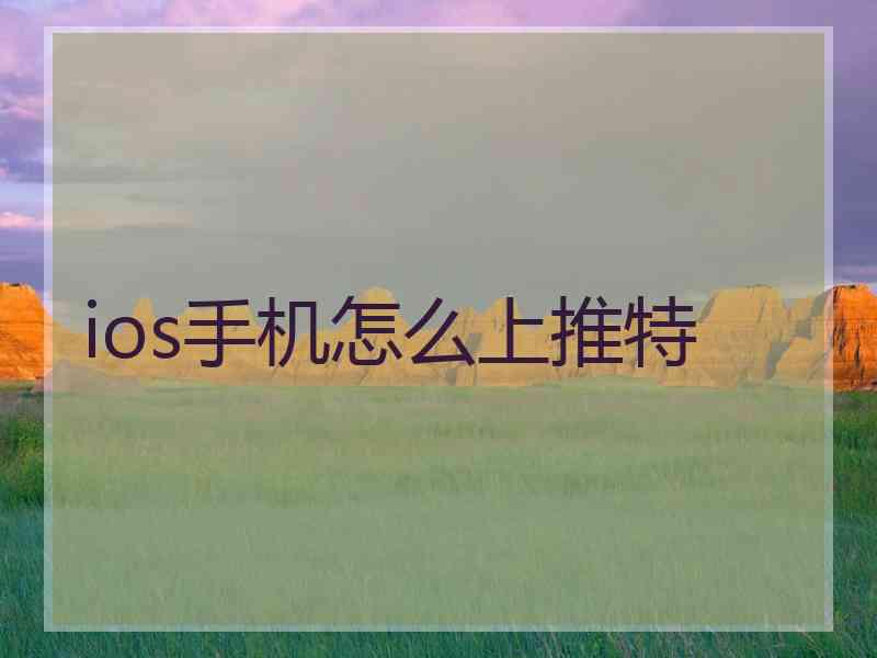 ios手机怎么上推特