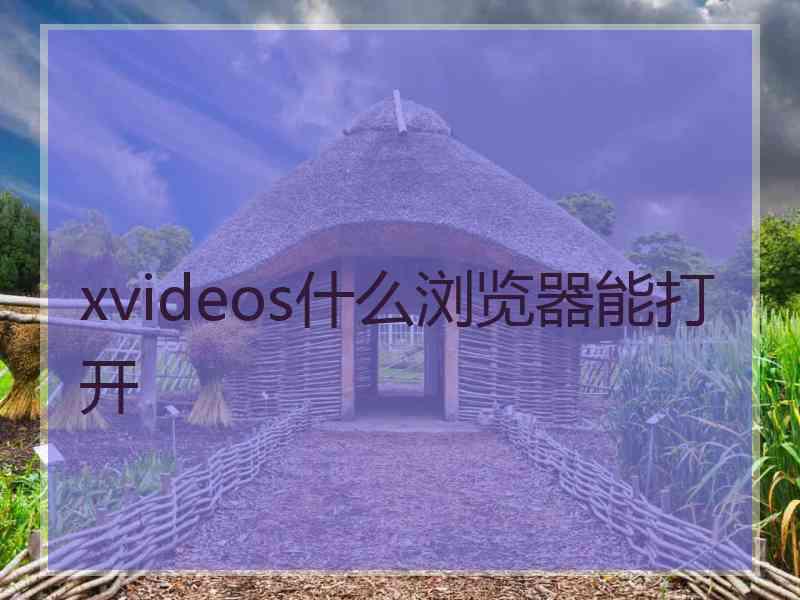 xvideos什么浏览器能打开