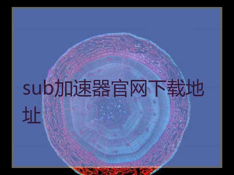 sub加速器官网下载地址