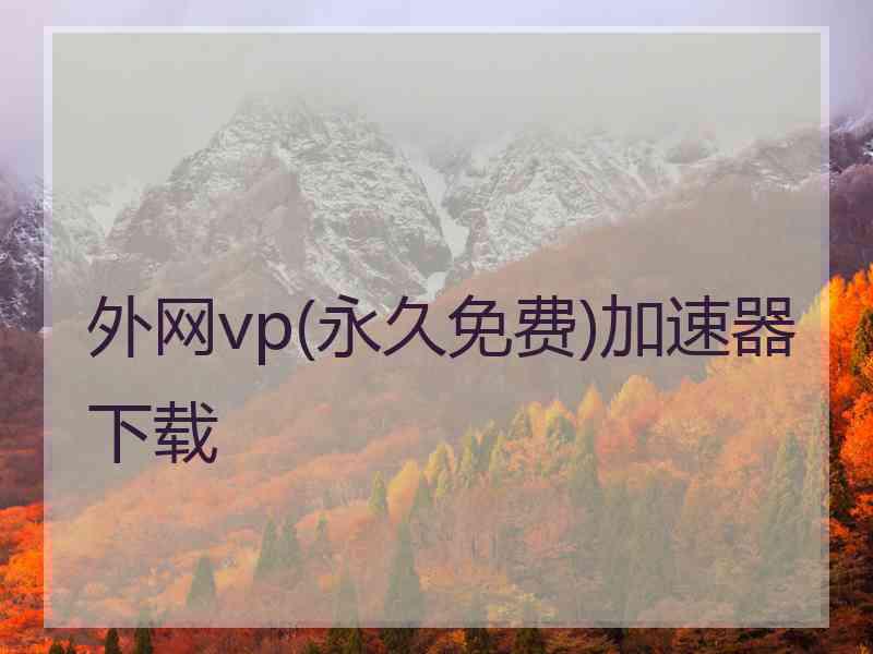 外网vp(永久免费)加速器下载