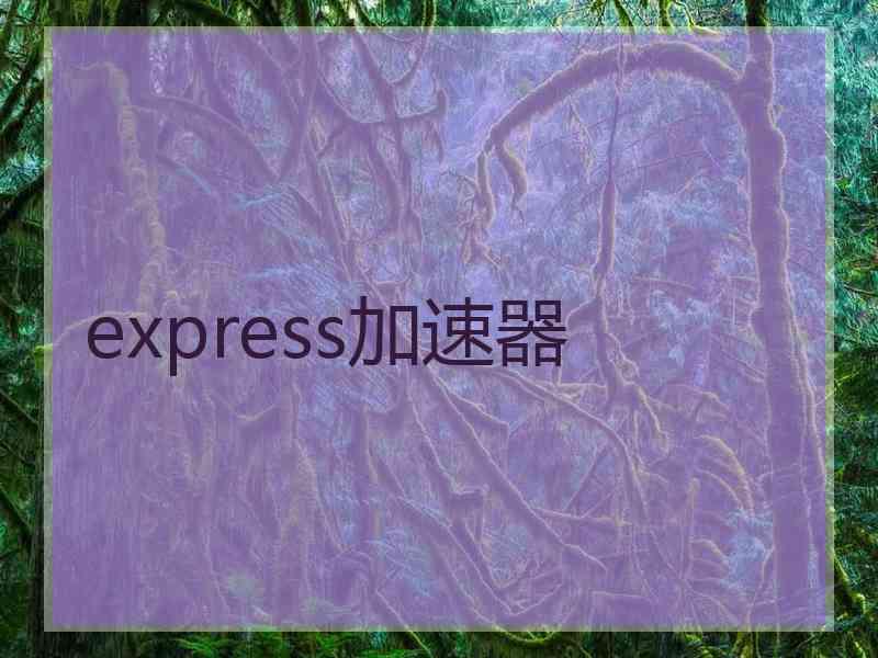 express加速器