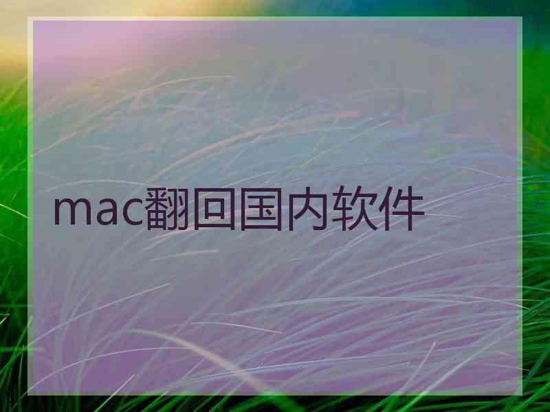 mac翻回国内软件