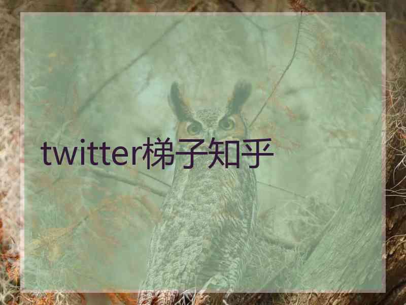 twitter梯子知乎