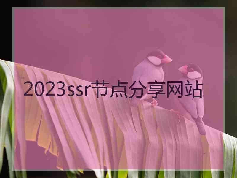 2023ssr节点分享网站