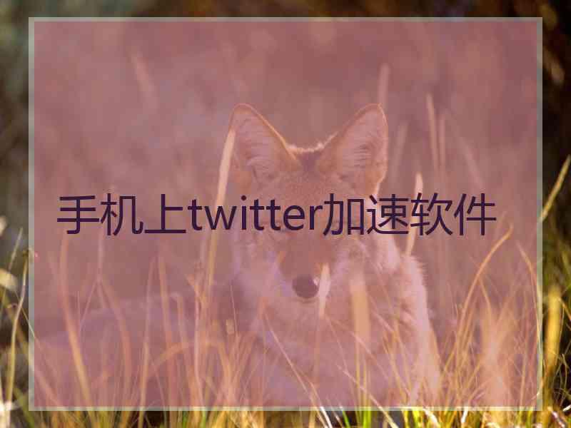 手机上twitter加速软件