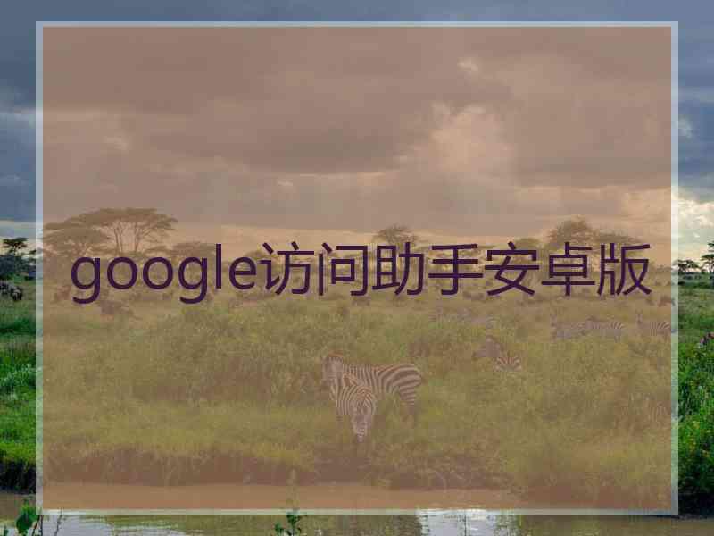 google访问助手安卓版