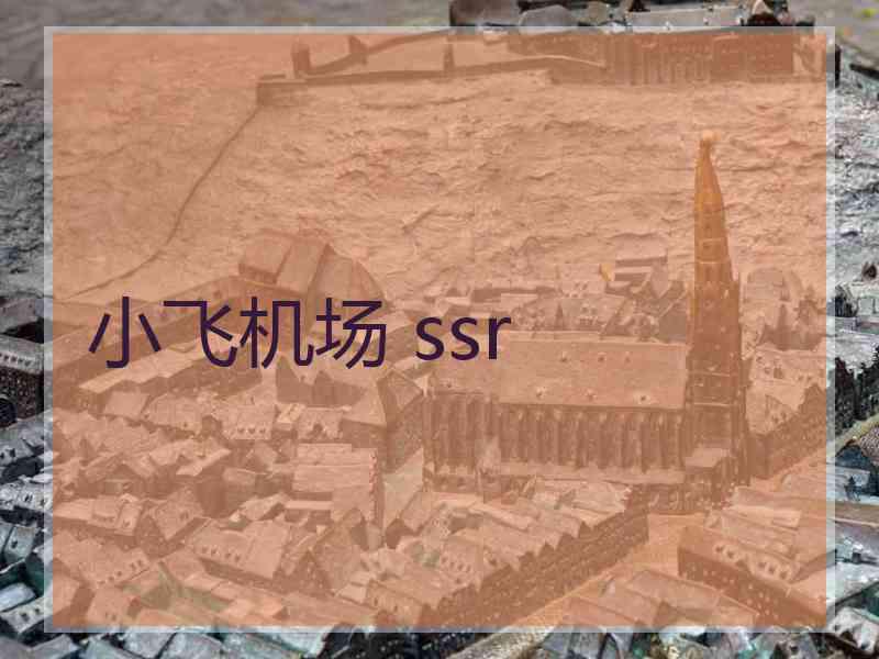 小飞机场 ssr