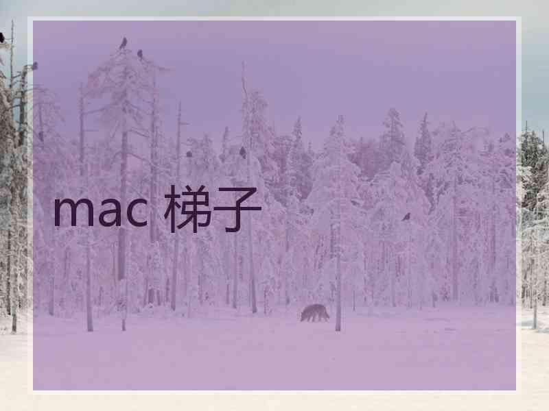 mac 梯子