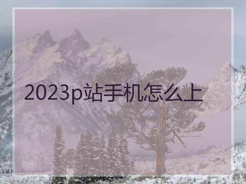 2023p站手机怎么上