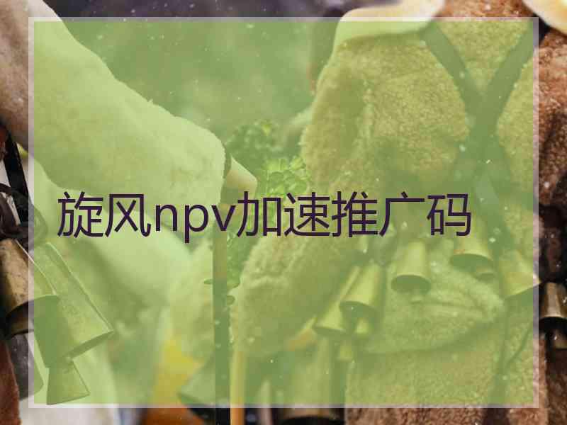 旋风npv加速推广码