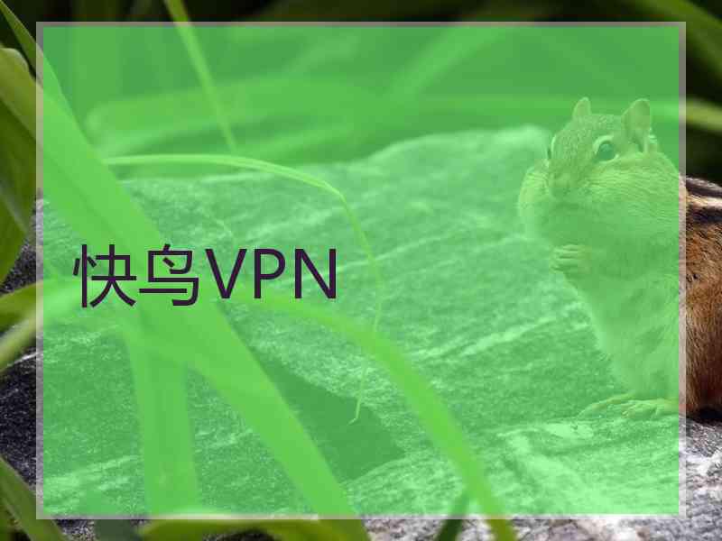 快鸟VPN