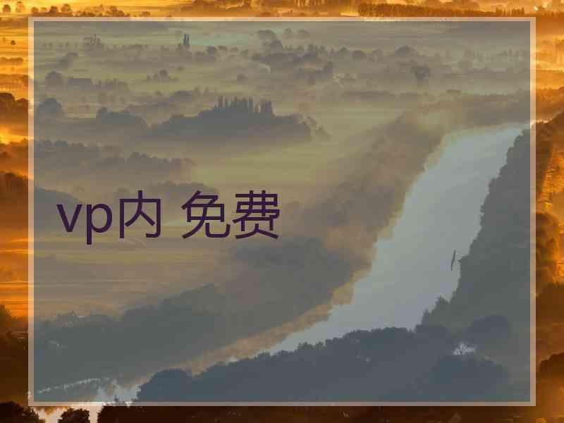 vp内 免费