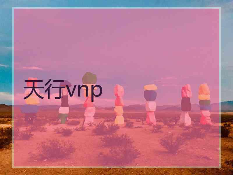 天行vnp