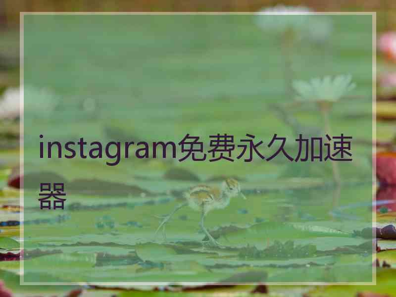 instagram免费永久加速器